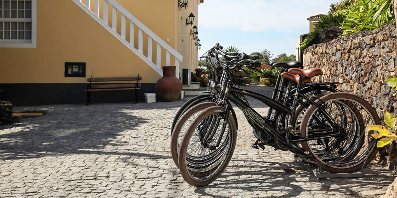 Parceiros de Atividades - Quinta da Abelheira